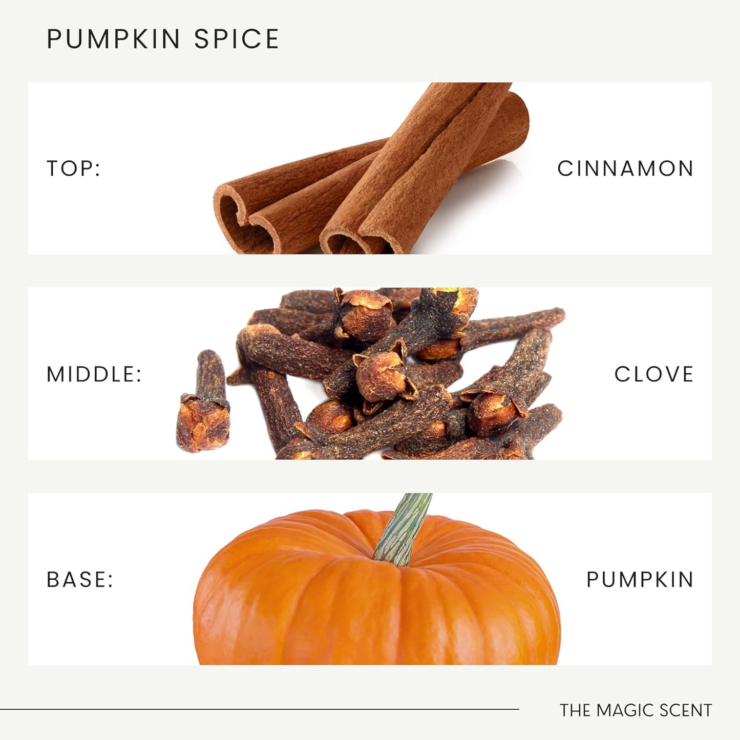 Pumpkin Spice Aroma Oil - Diffuser Oil Scent - Cold-Air & Ultrasonic Diffuser - Pumpkin Essential Aromatherapy - 8.5 fl oz, 250 mL